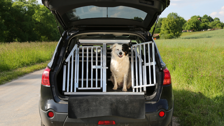 Hundebox fürs Auto selber bauen: Transportbox aus Aluminiumprofilen
